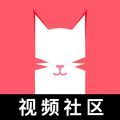 猫咪app视频 最新版